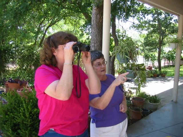 Lovely Wife and her mother were actually bird watching...but I couldn't let that ruin a good story