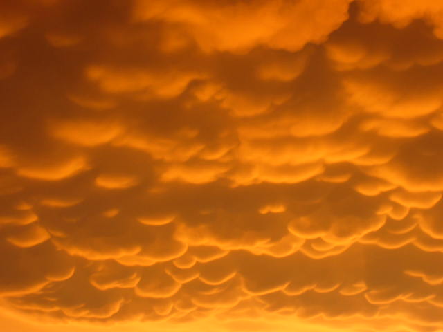 Mamatus clouds at sunset